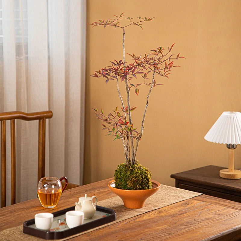 Porcelain Hydroponic Flower Pot – New Chinese Style Orchid Planter Decorative Planter Pot Nixie
