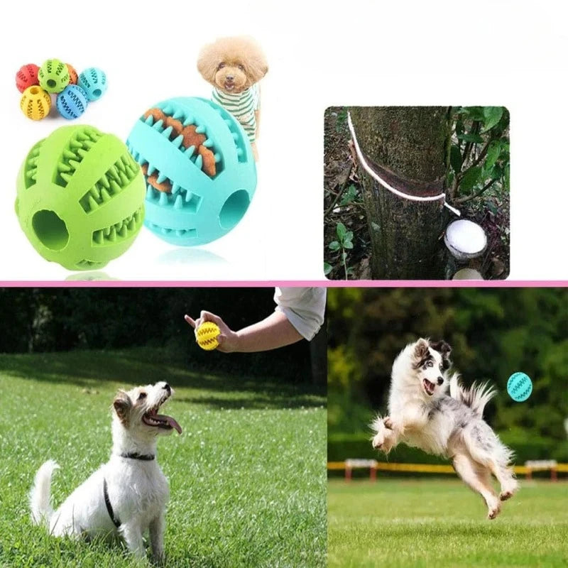 Interactive Rubber Ball Dog Chew Toy & Treat Feeder – 5cm Dog Chew Toy Nixie