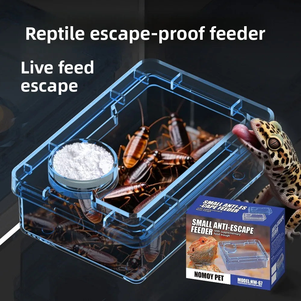 Reptile Feeding Bowls – Anti-Tip Transparent Dish for Lizards & Geckos Reptile Feeding Bowl Nixie