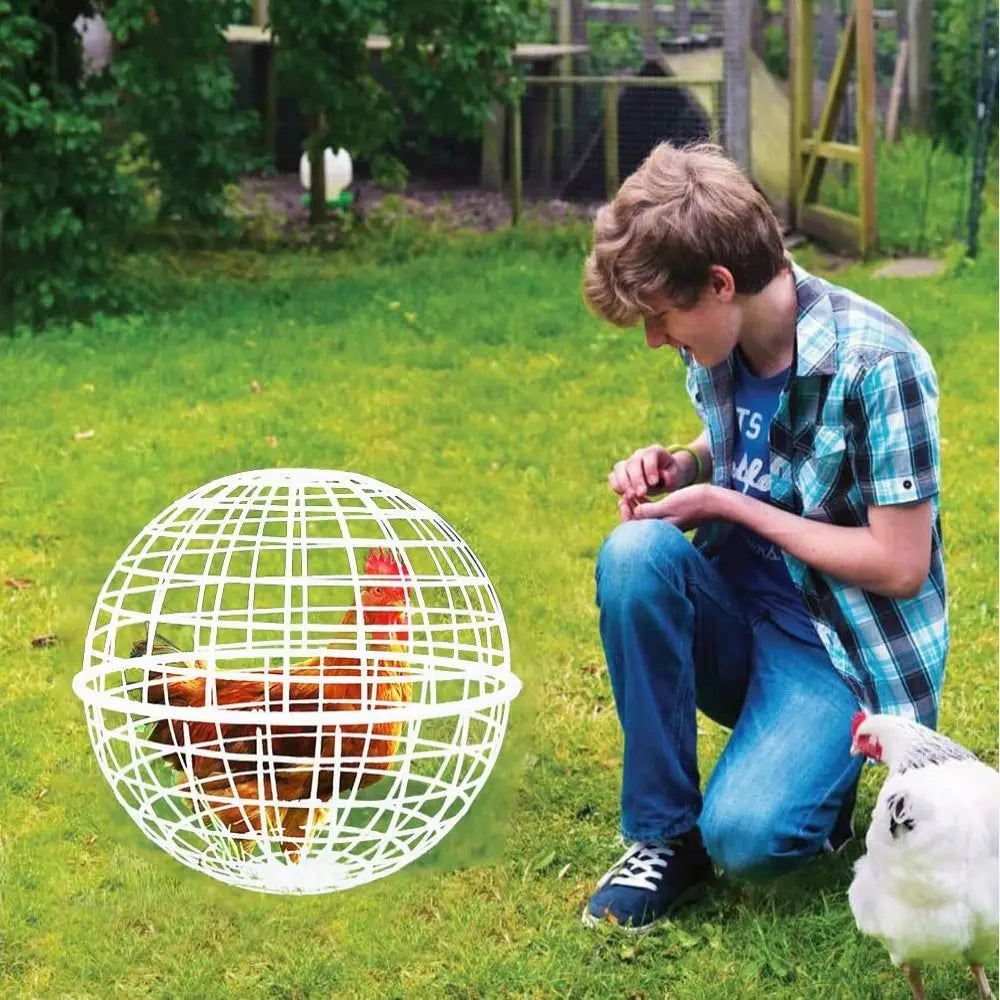 Portable Ventilated Chicken Ball Cage | Backyard & Farm Chicken Ball Cage Nixie