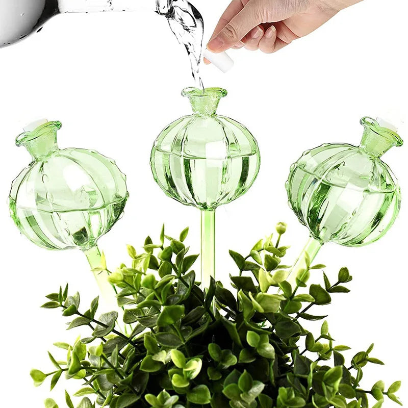 Cactus Self-Watering Globe – Auto Drip Irrigation Plant Feeder Self-Watering Globe Nixie