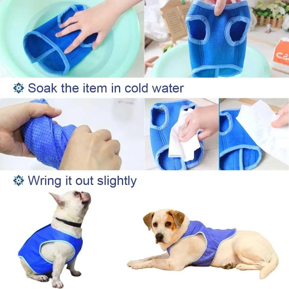 Dog Cooling Vest – Breathable Lightweight Summer Jacket for Dogs
