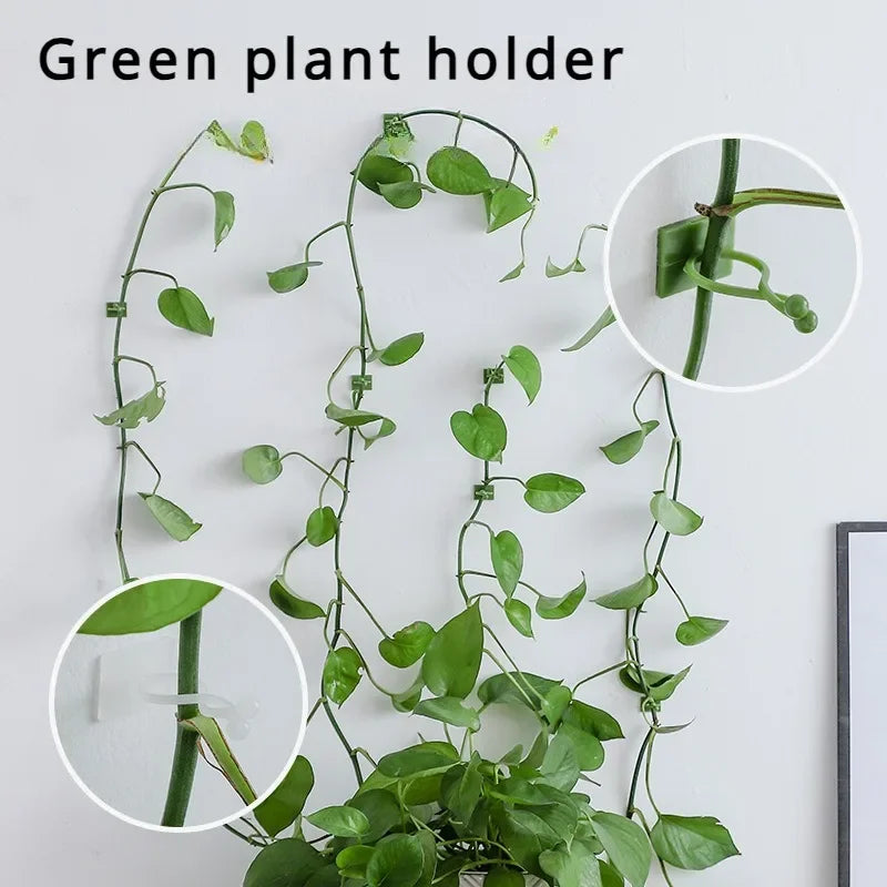 10pcs Plant Wall Clips Vine Climbing Fixer & Trellis Hooks