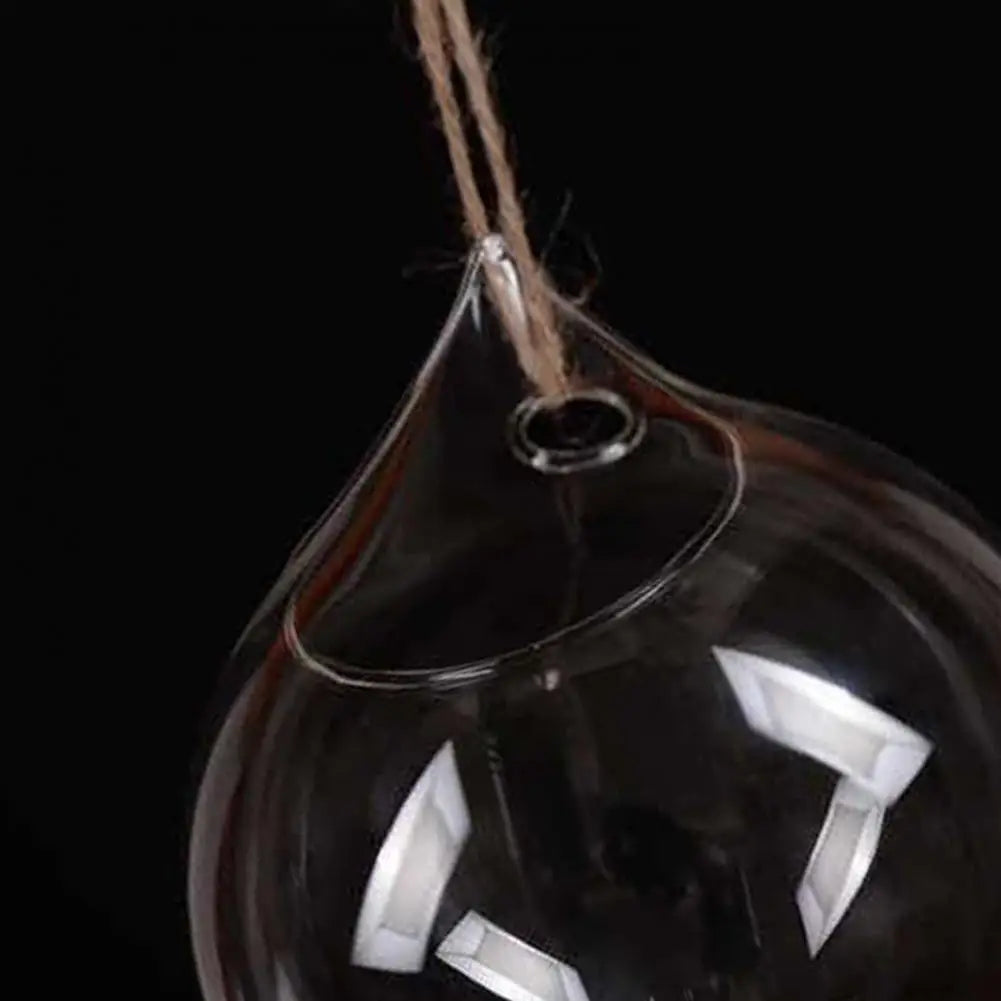 Hanging Glass Propagation Vase – Hydroponic Terrarium Planter Hanging Glass Planter Nixie
