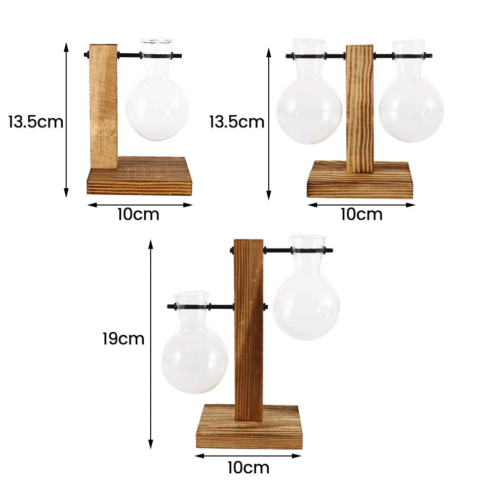 Hydroponic Glass Terrarium Vase with Wooden Stand | Desktop Decor Glass Terrarium Vase Nixie