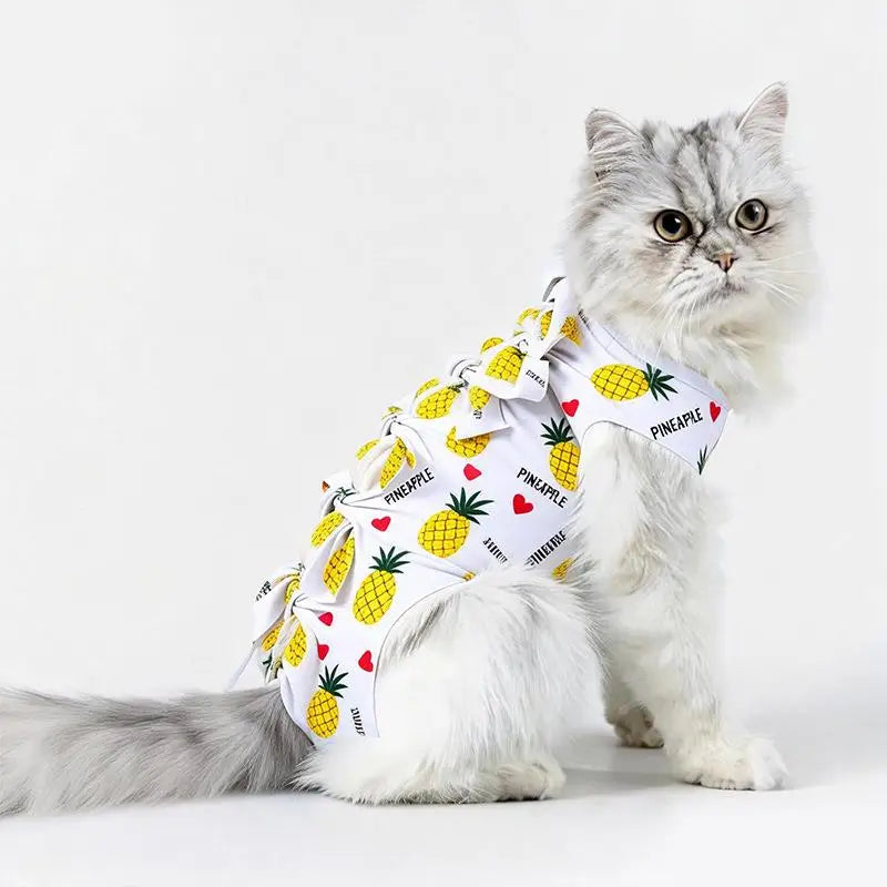 Cat Recovery Suit – Anti-Licking Wound Protective Clothing