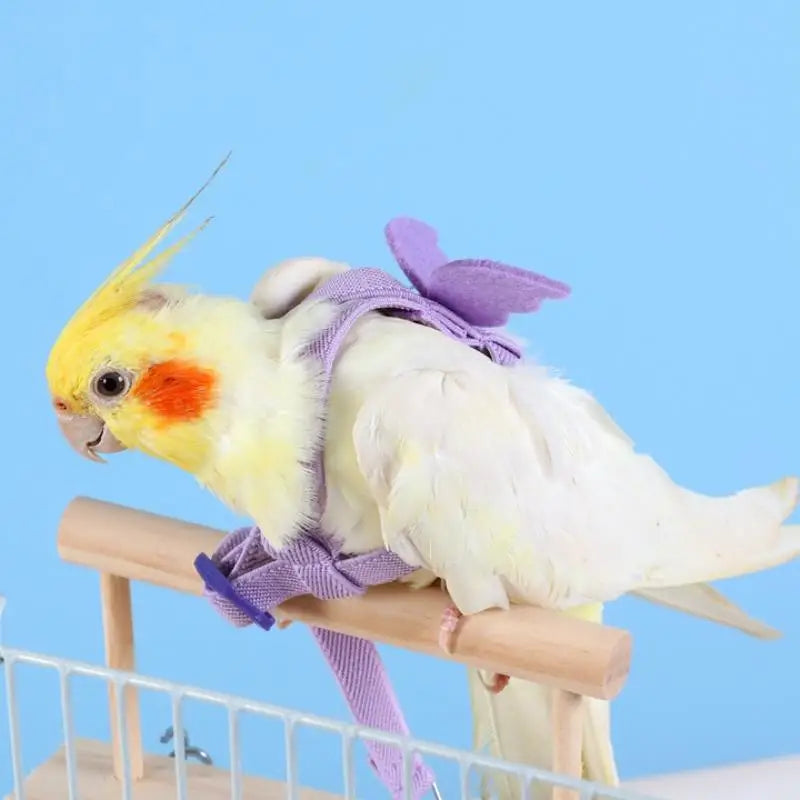 Parrot Harness & Leash Set – Budgie Cockatiel Outdoor Training Bird Harness Leash Nixie