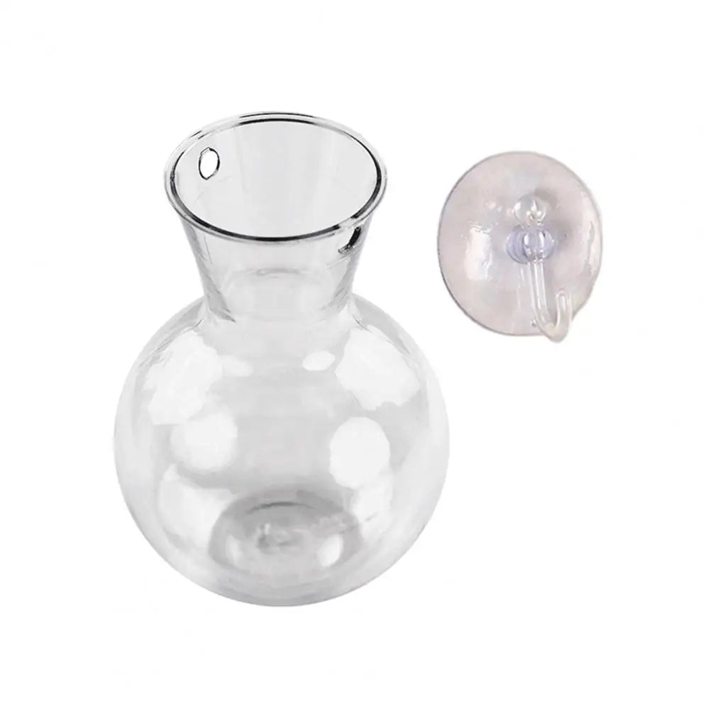 Window Propagation Station Plant Bulb Vase with Suction Cup Propagation Planter Nixie 1pc