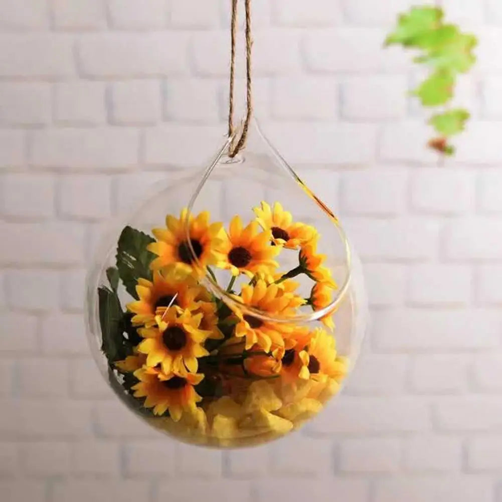 Hanging Glass Propagation Vase – Hydroponic Terrarium Planter Hanging Glass Planter Nixie