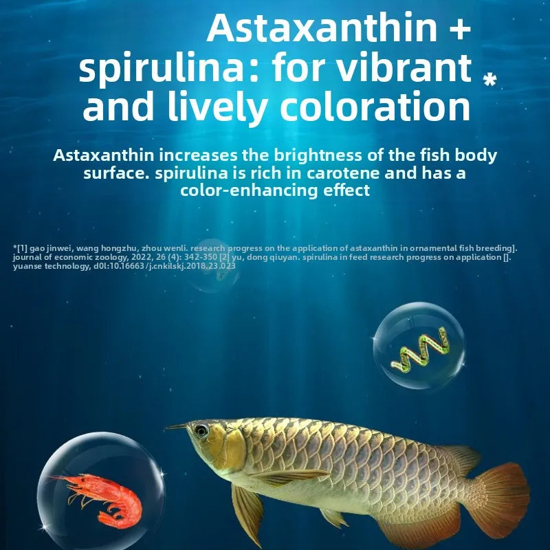 Dragon Fish Color Enhancement Food – Large Granule Fish Feed 500g Tropical Fish Food Nixie