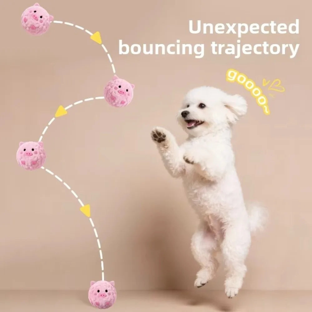 Pig Plush Squeaky Bouncy Ball Dog Toy for Puppies & Small Dogs Interactive Dog Toy Nixie
