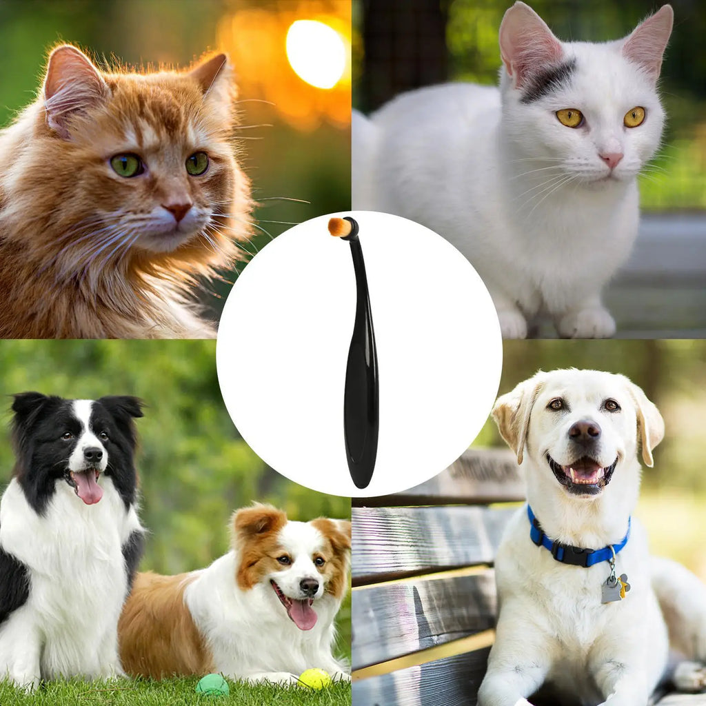 Pet Tear Stain Removal Brush – Eye Cleaning Grooming Tool Pet Grooming Brush Nixie