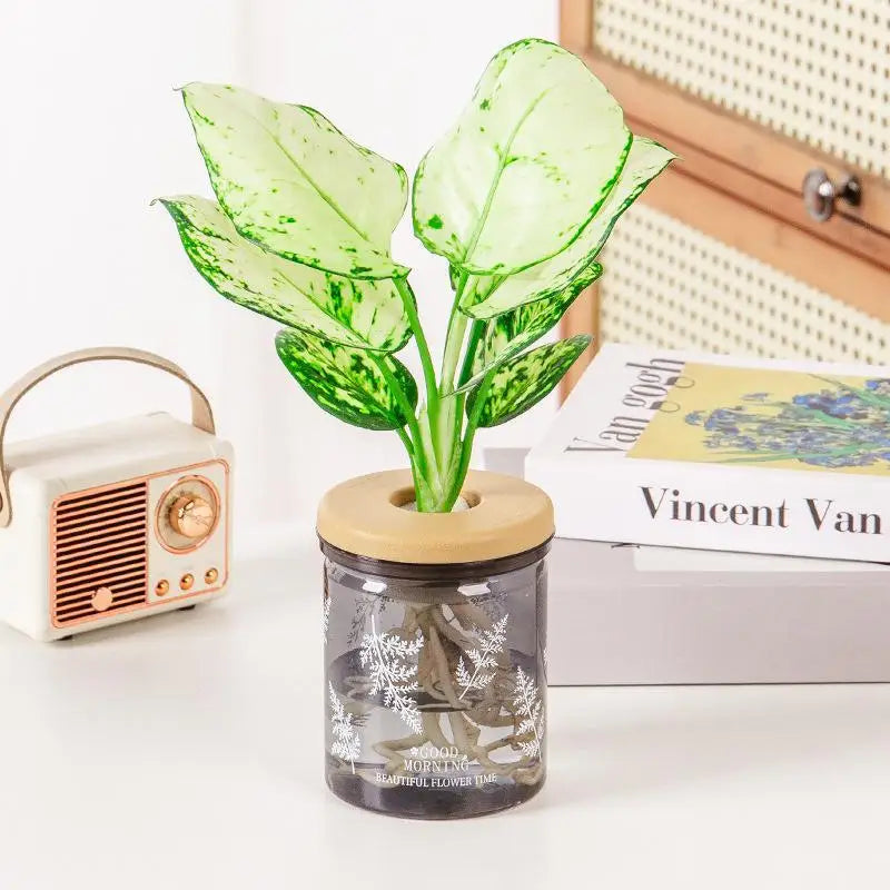 Hydroponic Planter Clear Plastic Fern Pattern Wood Lid | Desktop Hydroponic Planter Nixie