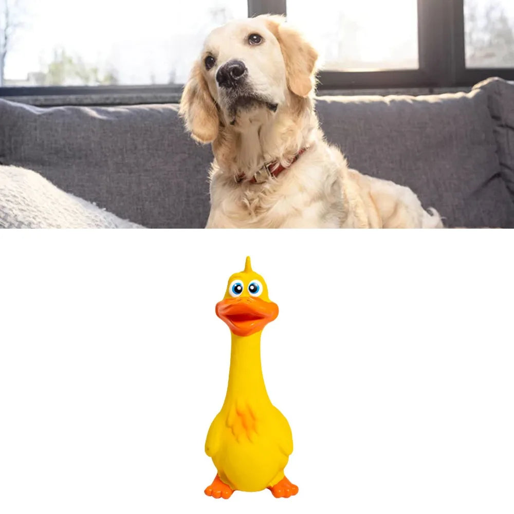 Soft Latex Dog Squeaky Toy – Duck & Chicken Chew Molar Dog Squeaky Toy Nixie