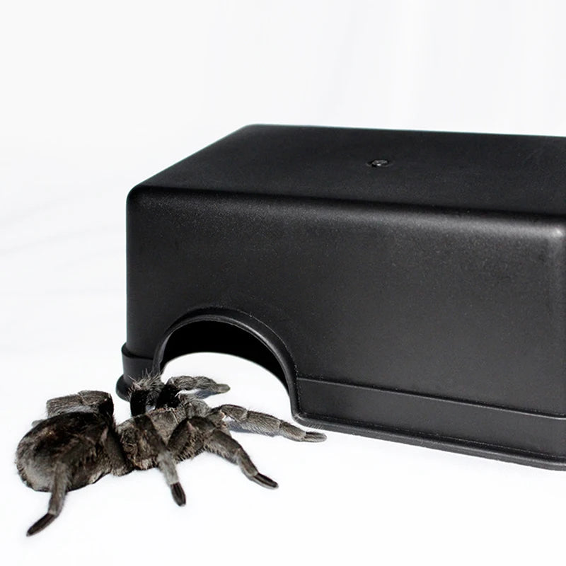 Reptile Cave Hideout for Turtles, Lizards & Snakes | Terrarium Decor Reptile Cave Hideout Nixie