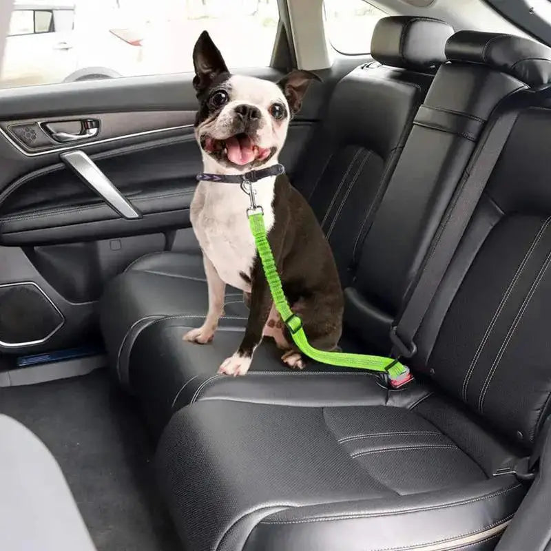 Adjustable Reflective Pet Car Safety Belt for Dogs & Cats Pet Car Seatbelt Nixie