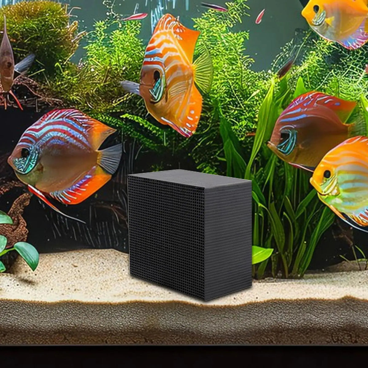 Aquarium Water Purifier Cube – Activated Carbon Filter Block