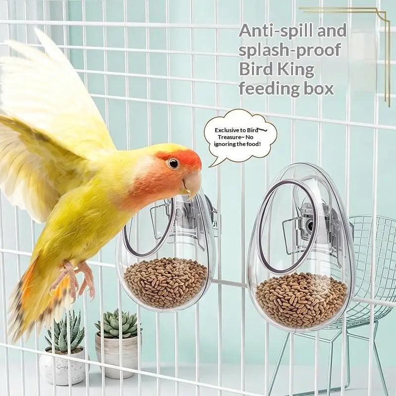 Anti-Splash Transparent Parrot Bird Feeder Cup | Cage Mount Bird Cage Feeder Nixie