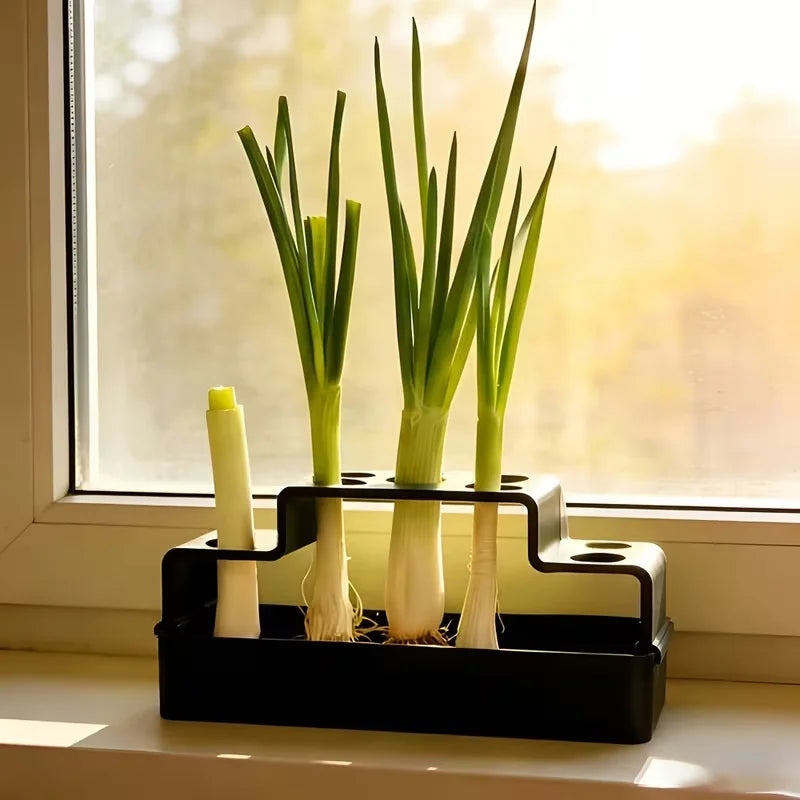 Scallion Hydroponic Growing Box – Soil-Free Reusable Planter Hydroponic Planter Nixie black