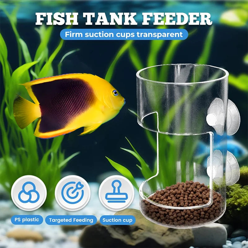 Acrylic Fish Food Holder for Fish Tank – Dish Tray & Suction Cup Aquarium Fish Feeder Nixie