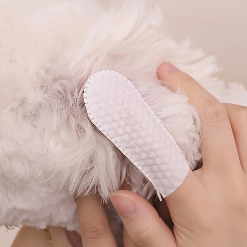 50/100 Disposable Pet Finger Toothbrushes – Dogs & Cats Pet Finger Toothbrush Nixie