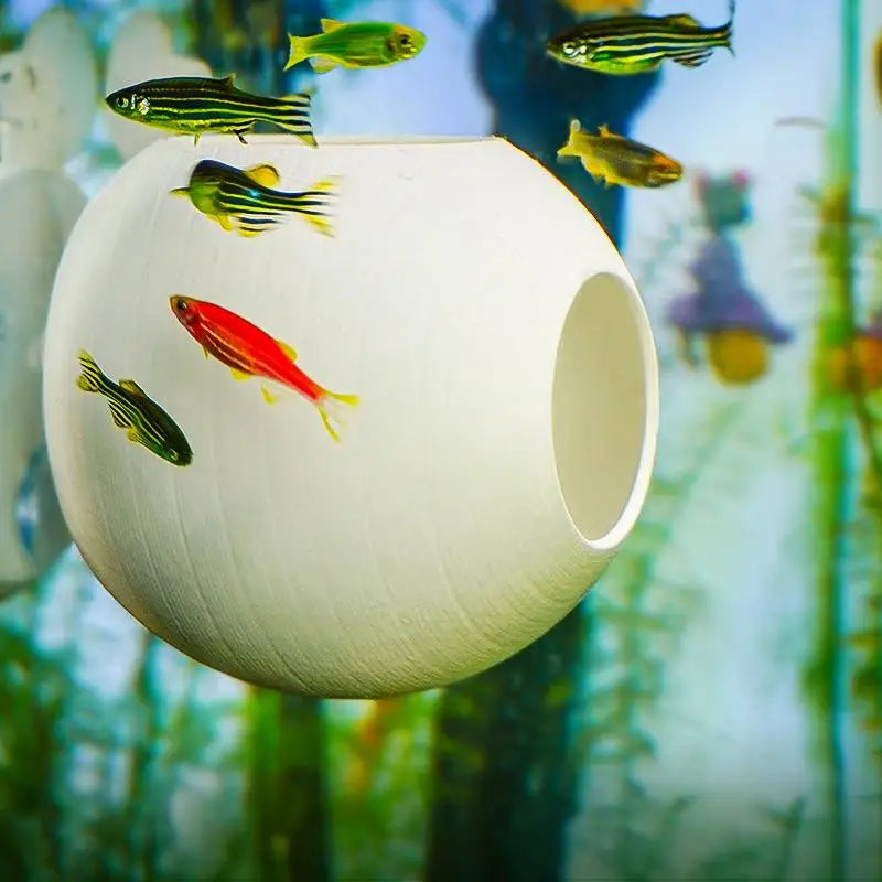 3D Printed Aquarium Shrimp Dome Shelter Cave | Fish Hiding Cave Aquarium Cave Decor Nixie