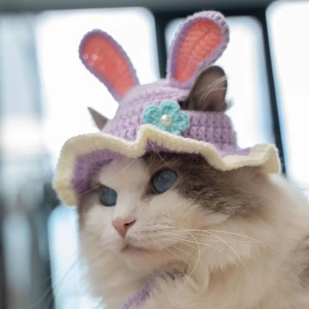 Handmade Funny Cat Hat – Pet Cosplay Party Photo Shoot Headwear Pet Costume Hat Nixie
