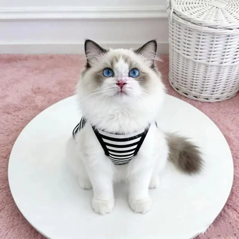 Breathable Striped Pet Vest Harness with D-Ring – Dogs & Cats Pet Vest Harness Nixie