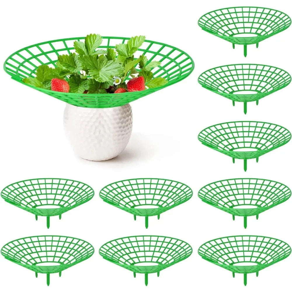 Strawberry Plant Supports 3-Leg Growing Racks – 5/10/20 Pcs Plant Support Stand Nixie