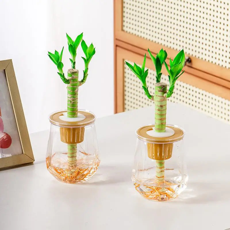 Mini Self-Watering Planter Pot – Transparent Plastic Vase Décor Self-Watering Planter Nixie