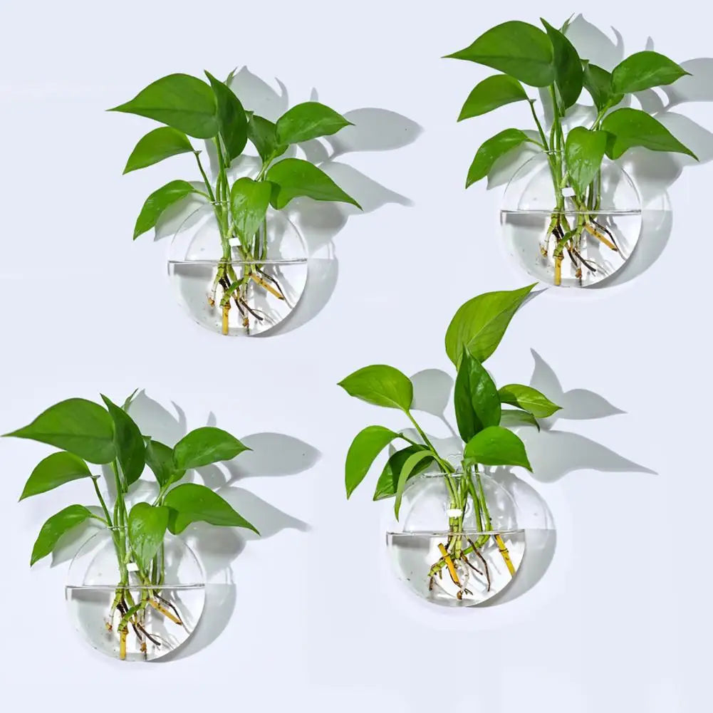Wall Hanging Glass Planter | Hydroponic Vase Terrarium Wall Glass Planter Nixie