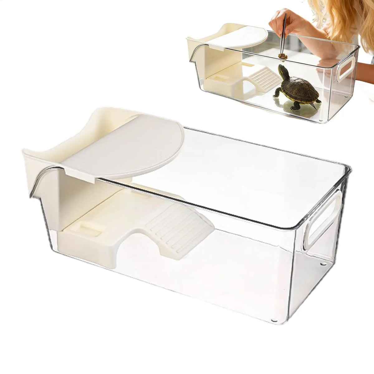 Turtle Tank with Basking Ramp | Desktop Reptile Terrarium Reptile Terrarium Tank Nixie