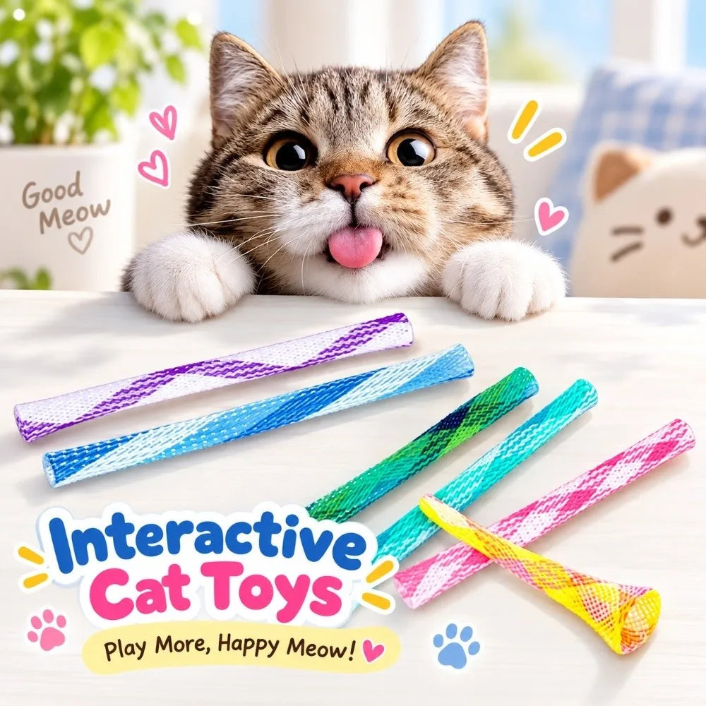 10PCS Multicolor Cat Spring Toys – Foldable Bite-Resistant Indoor Cat Spring Toys Nixie