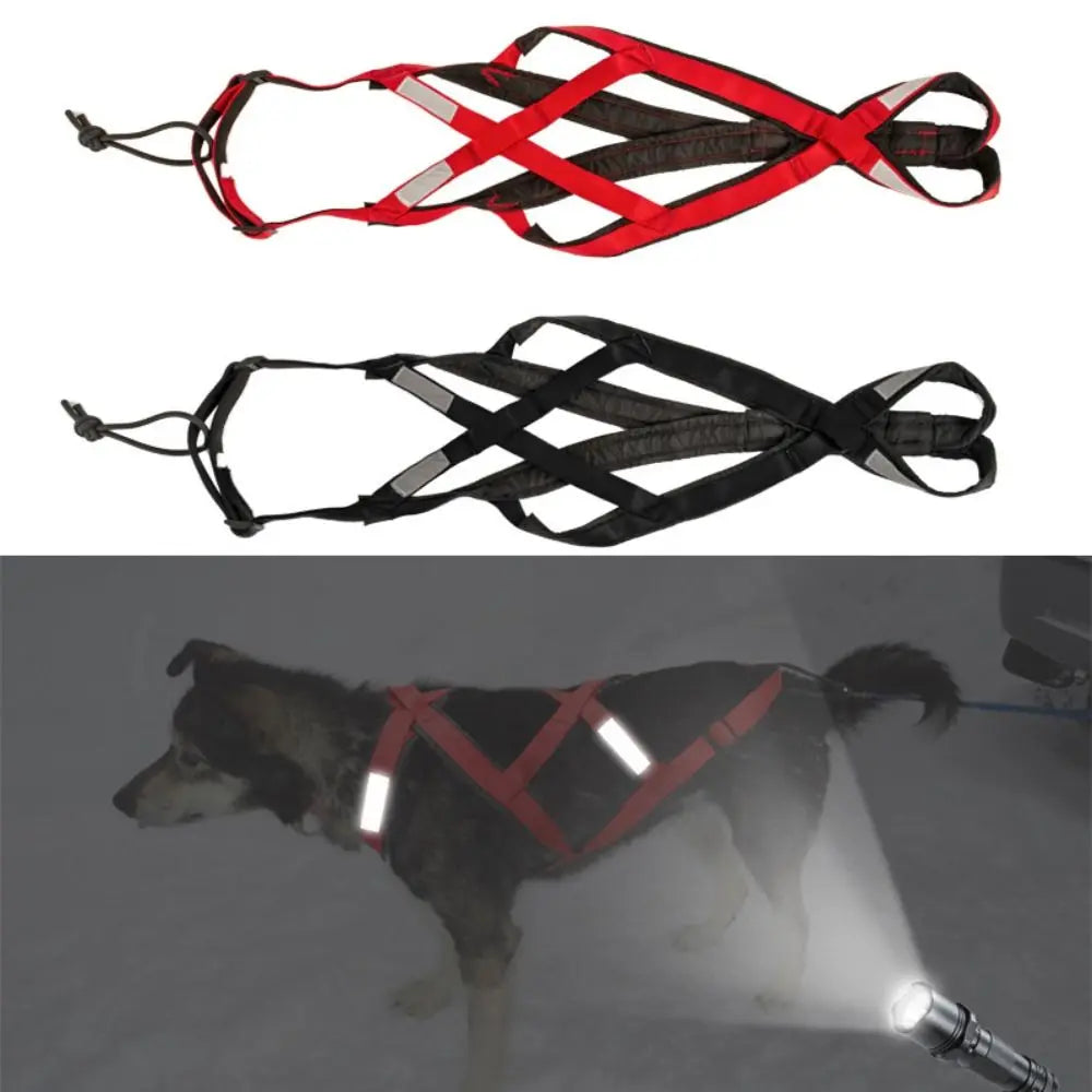 Reflective Dog Sled Harness – Adjustable Skijoring & Pulling