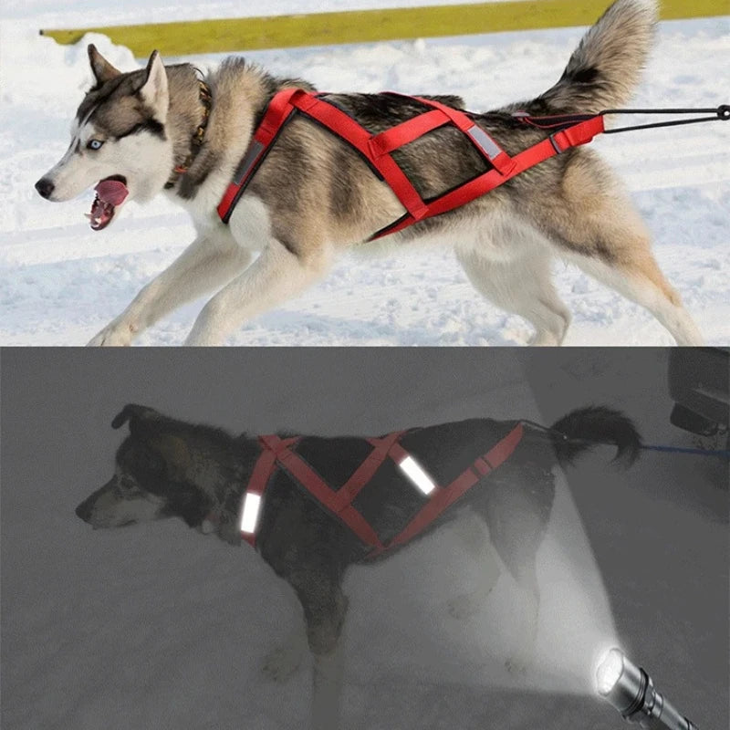 Dog Sled Harness & Weight Training Leash | Husky Scooter Dog Sled Harness Nixie