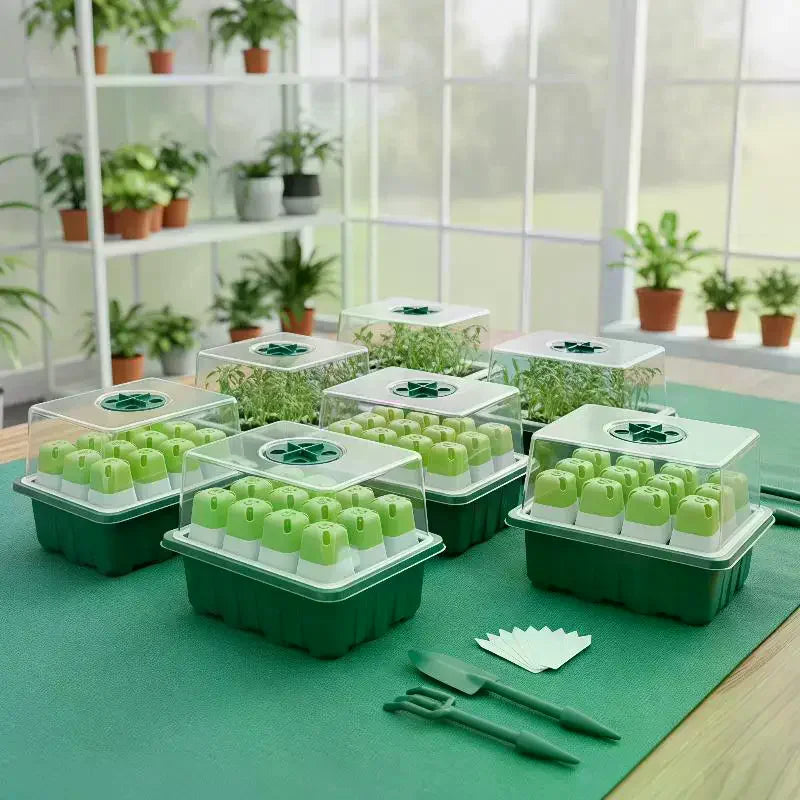Seed Starter Tray Mini Greenhouse Kit with Humidity Dome Seed Starter Kit Nixie