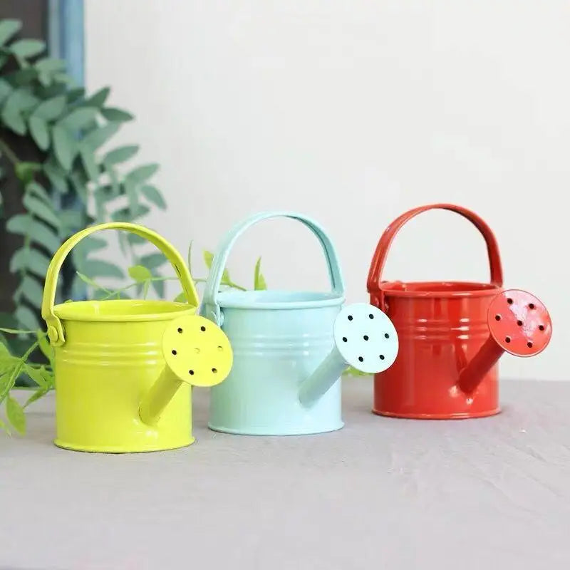 Metal Galvanized Watering Can for Garden – Anti-Rust Iron Pot Garden Watering Can Nixie