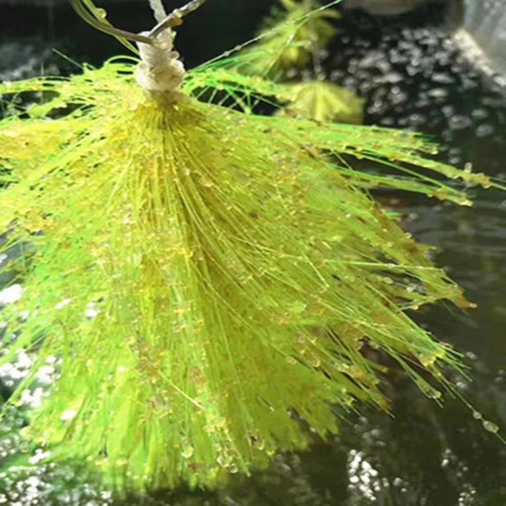 Fish Spawning Breeding Brush – Soft Bristle Aquarium Grass 60/100cm