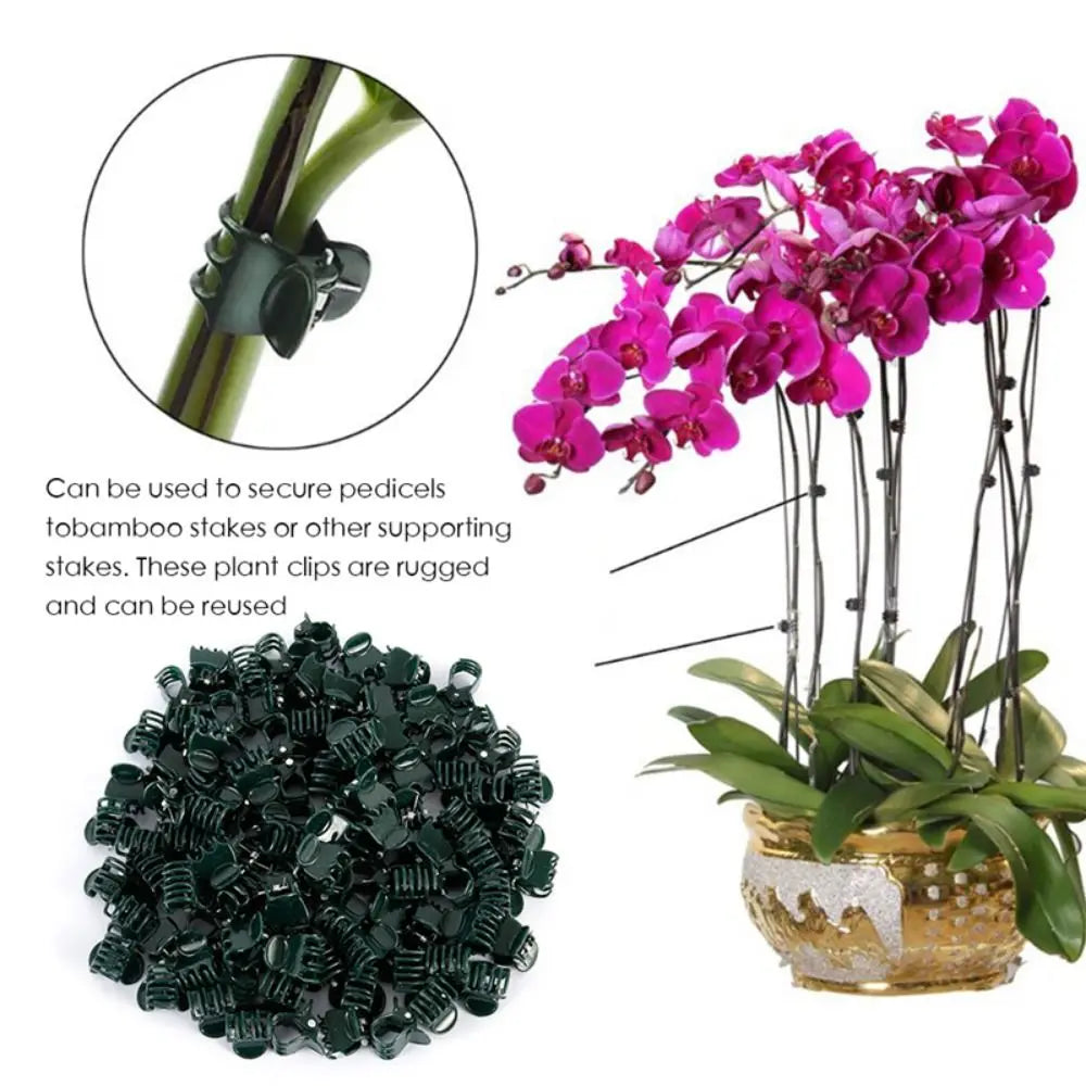 100Pcs Orchid Plant Support Clips – 6-Claw Butterfly Vine Clamps Plant Support Clips Nixie