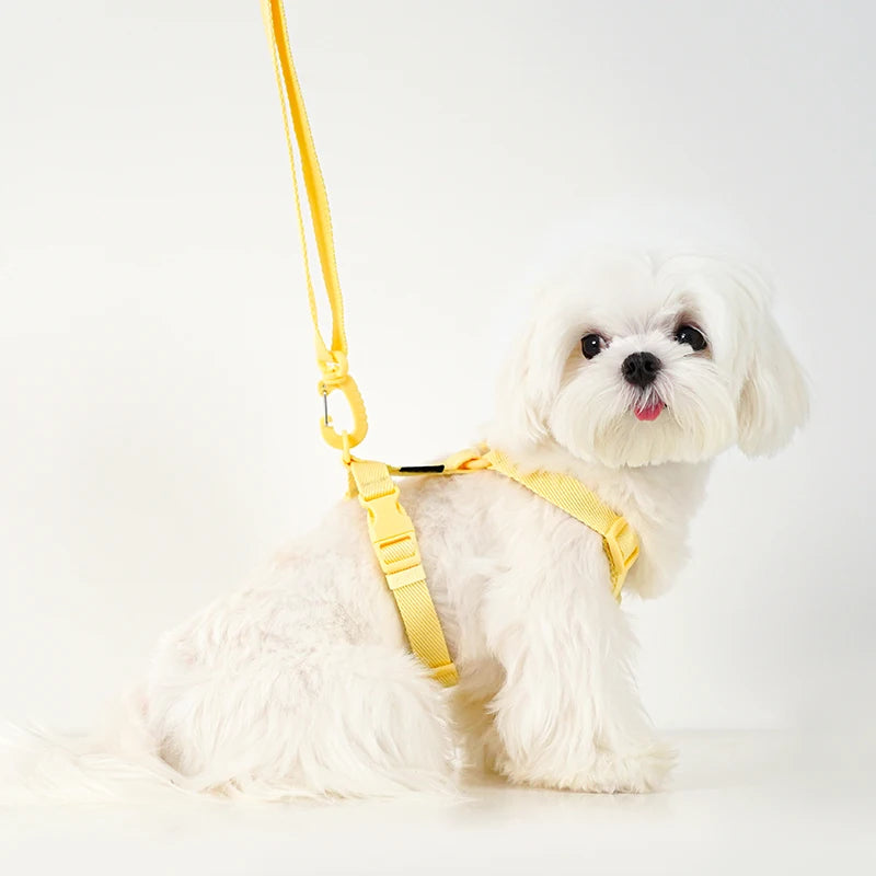 Adjustable Dog Harness Collar Leash Set – Reflective Small Pets Dog Harness Set Nixie