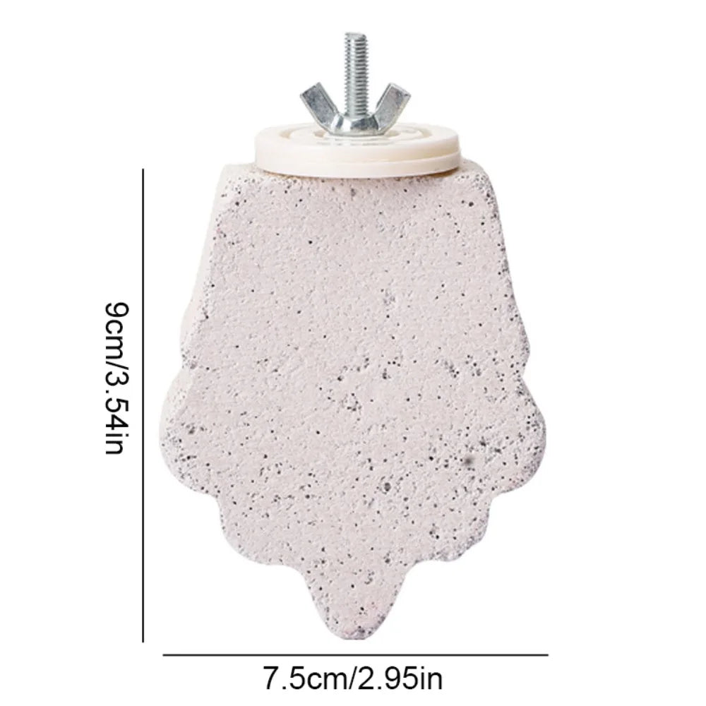 Pumice Parrot Stand Board – Claw & Beak Grinding Bird Perch