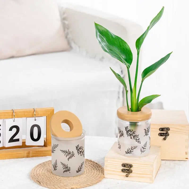 Hydroponic Planter Clear Plastic Fern Pattern Wood Lid | Desktop Hydroponic Planter Nixie