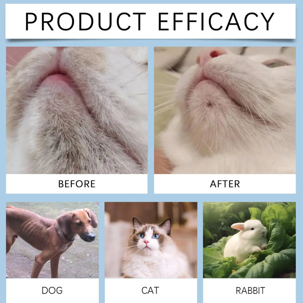 Cat Chin Cleaner 30g – Gentle Pet Chin Lotion & Brush Kit Pet Grooming Kit Nixie