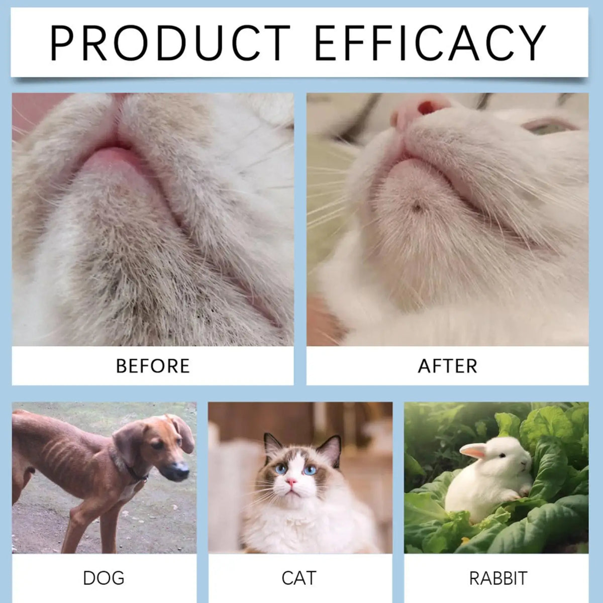 Cat Chin Cleaner 30g – Gentle Pet Chin Lotion & Brush Kit Pet Grooming Kit Nixie