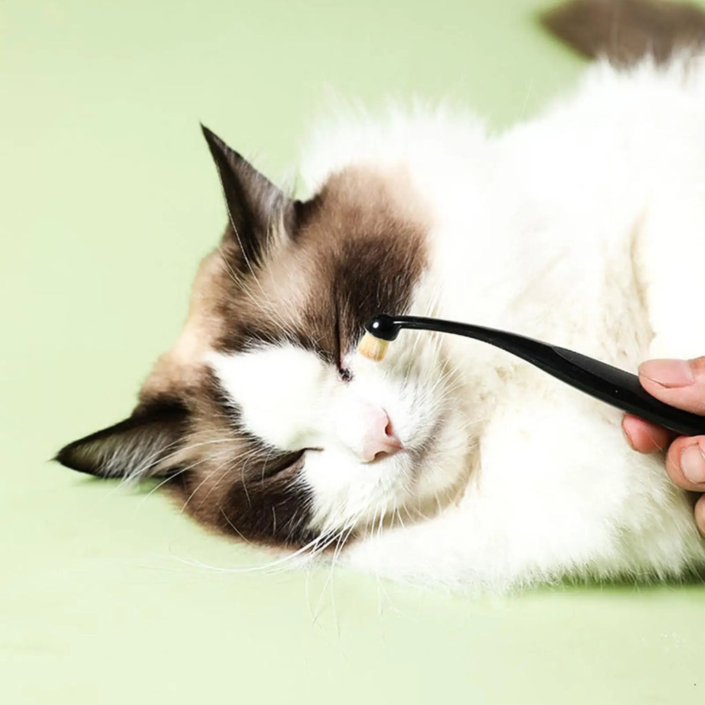 Pet Tear Stain Removal Brush – Eye Cleaning Grooming Tool Pet Grooming Brush Nixie