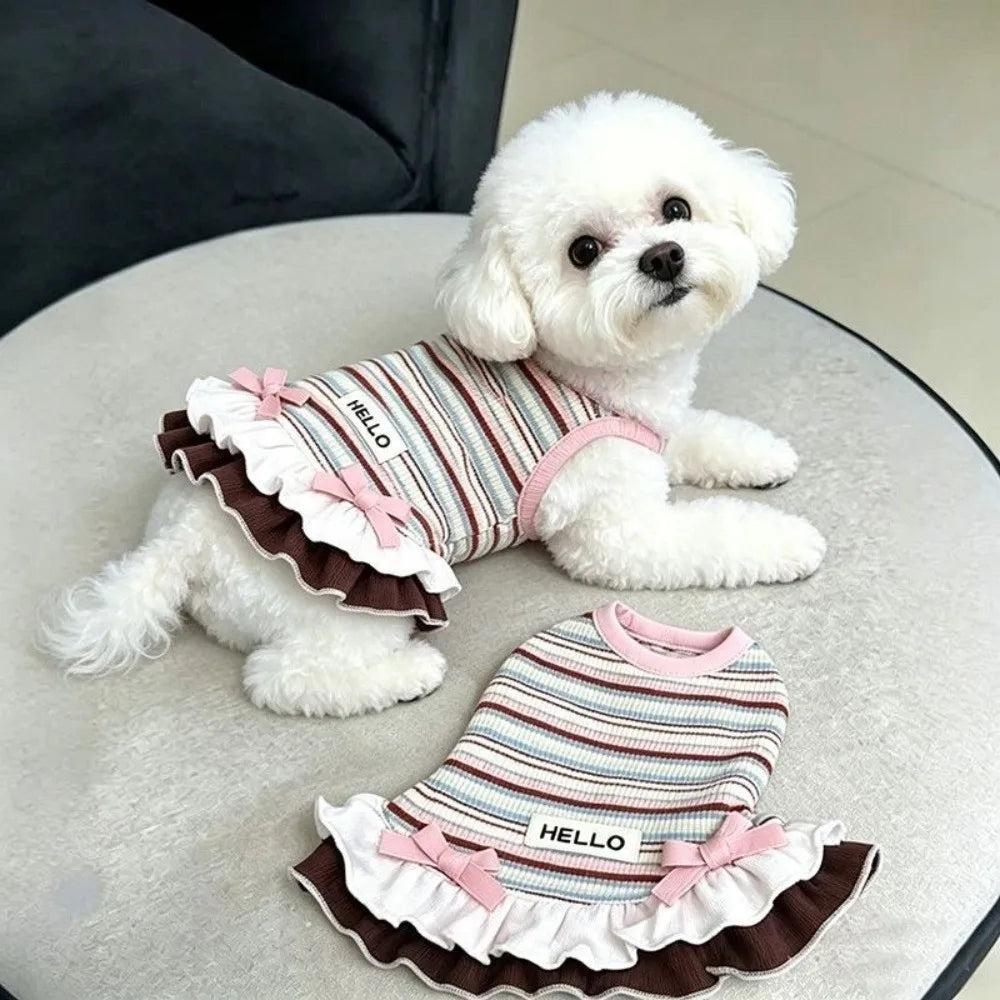 Rainbow Stripe Lace Dog Dress – Summer Skirt for Small Dogs Dog Dress Nixie