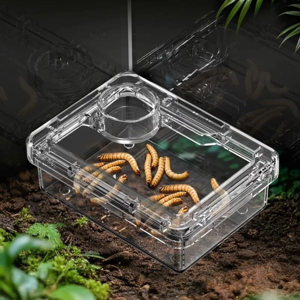 Reptile Feeding Bowls – Anti-Tip Transparent Dish for Lizards & Geckos Reptile Feeding Bowl Nixie