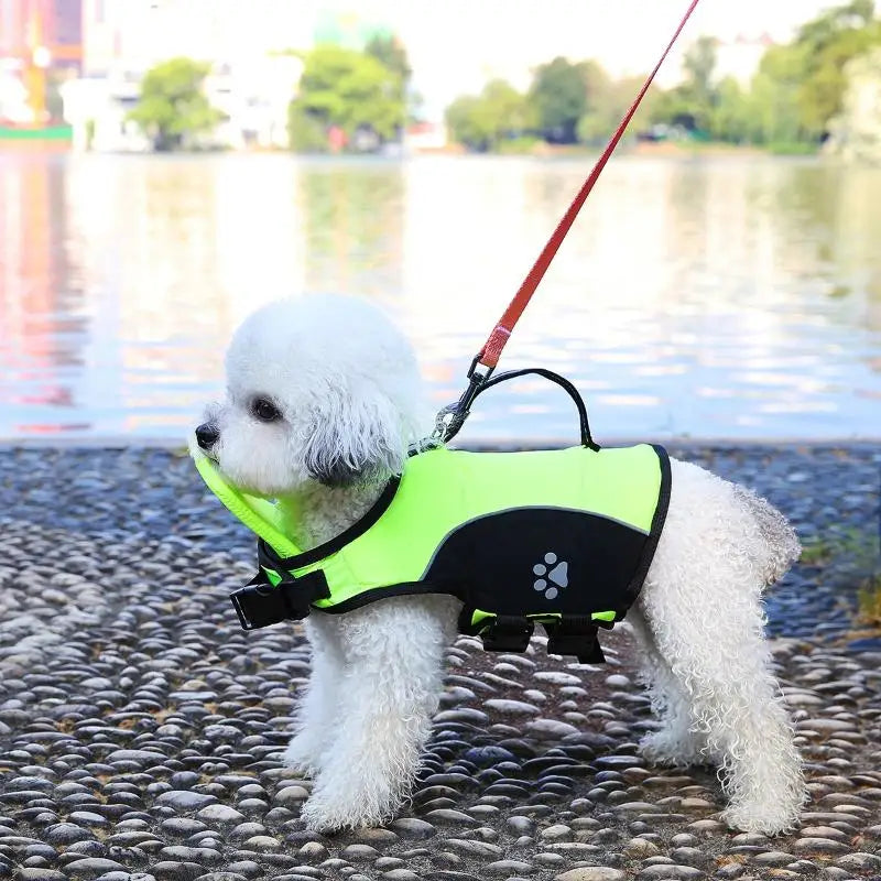 Dog Life Jacket – Adjustable Pet Safety Vest for Swimming & Boating Dog Life Jacket Nixie