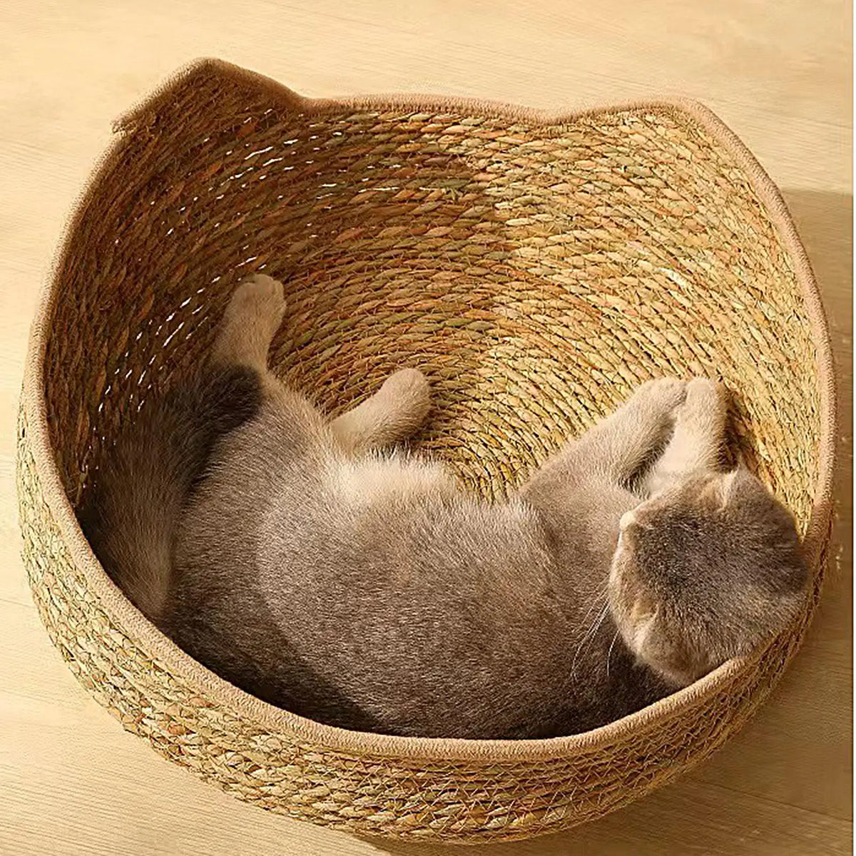 Woven Cat Bed with Cushion & Pillow – All Season Pet Nest
