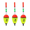3PCS Luminous Fishing Float Bobber Set – Sea & Carp Fishing Fishing Float Bobber Nixie 15g 3PCS